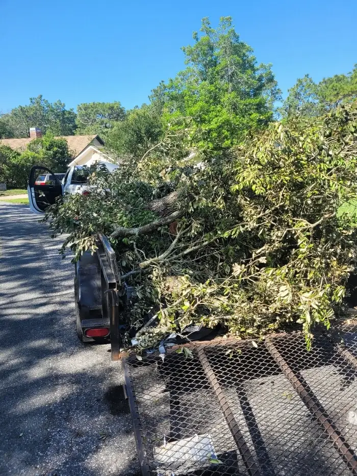 Yard Waste Removal in Hernando, Citrus County, FL